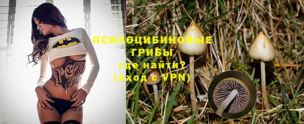 СК Краснотурьинск