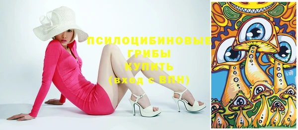 таблы Краснослободск
