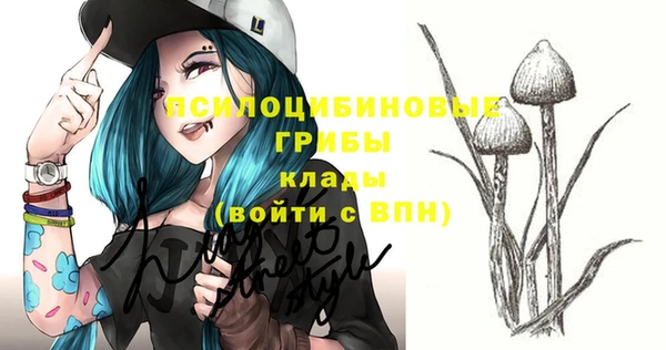 таблы Краснослободск